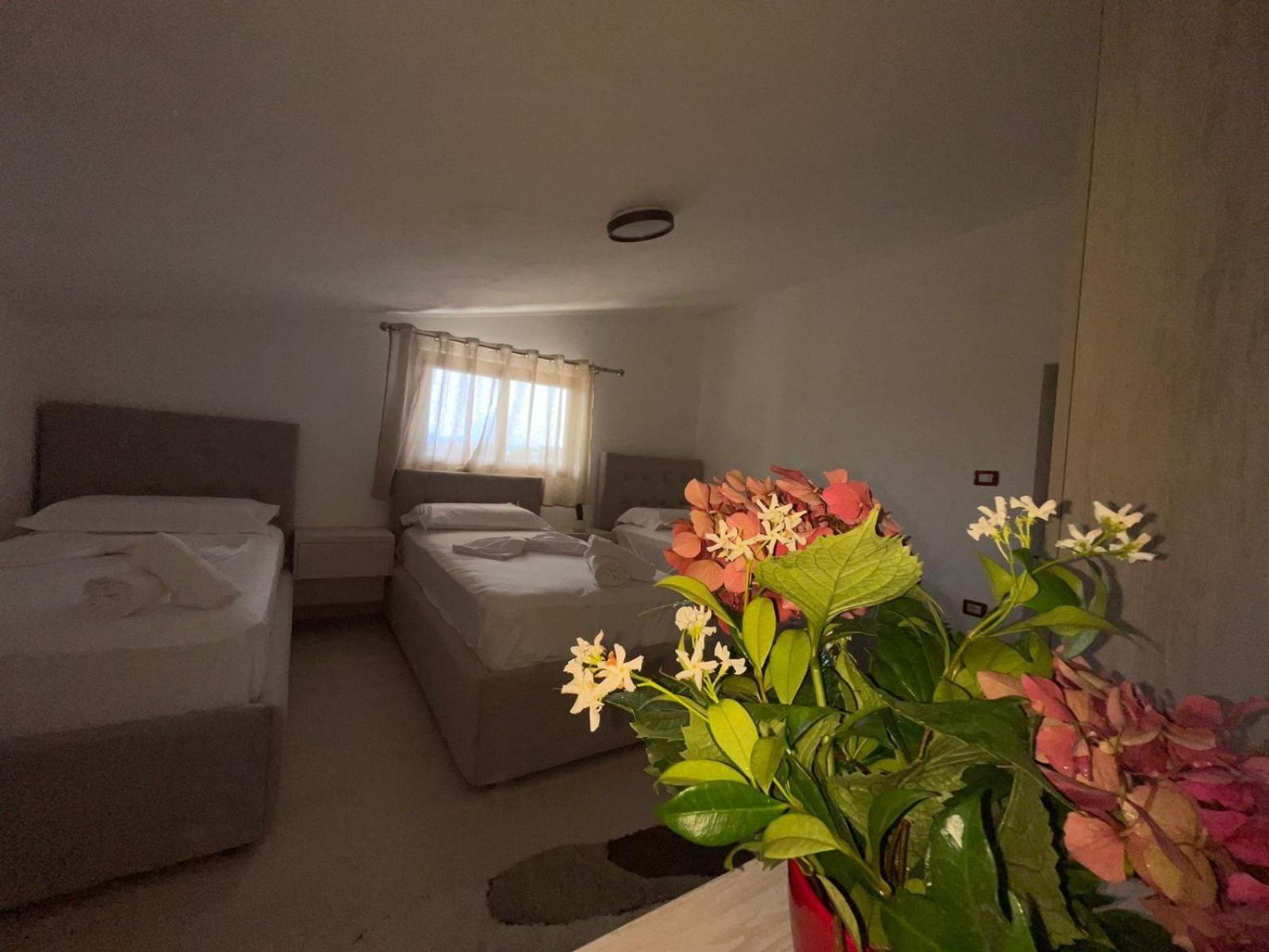 שקודר Prela'S Rooms מראה חיצוני תמונה